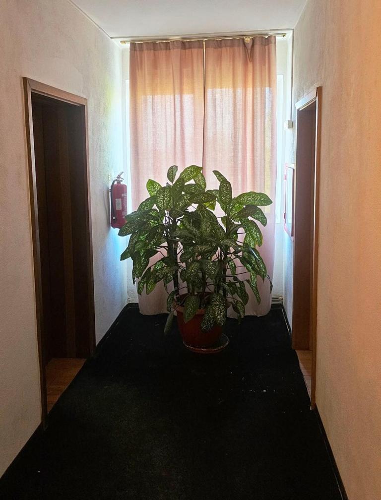 Albergue Casablanca Craiova Exterior foto